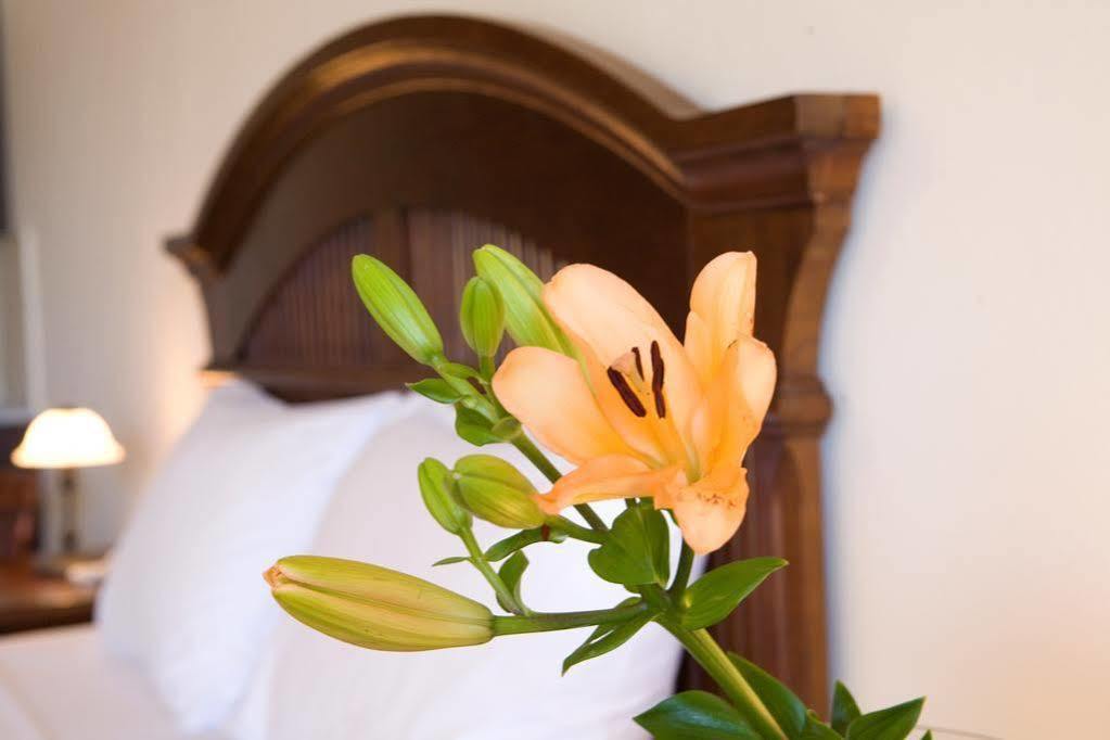 Adriatica Hotel 니키아나 외부 사진